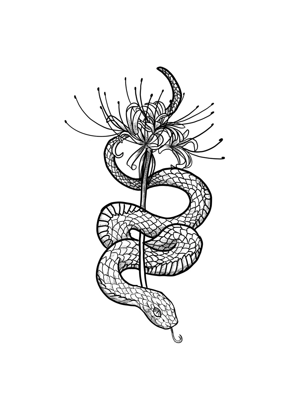 Tattoo Design Spider Lily Snake Japanese