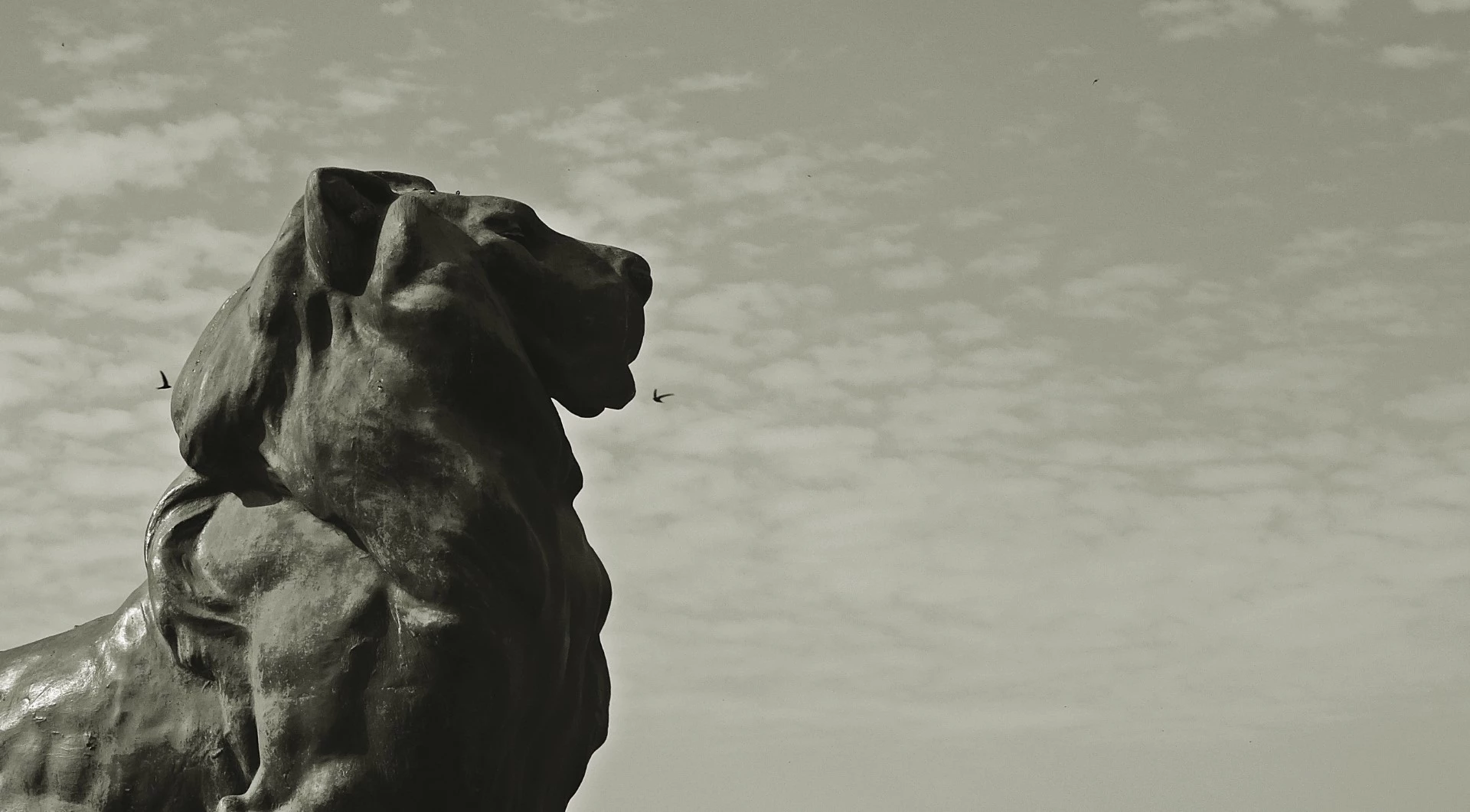 Statue eines Löwen in Madrid